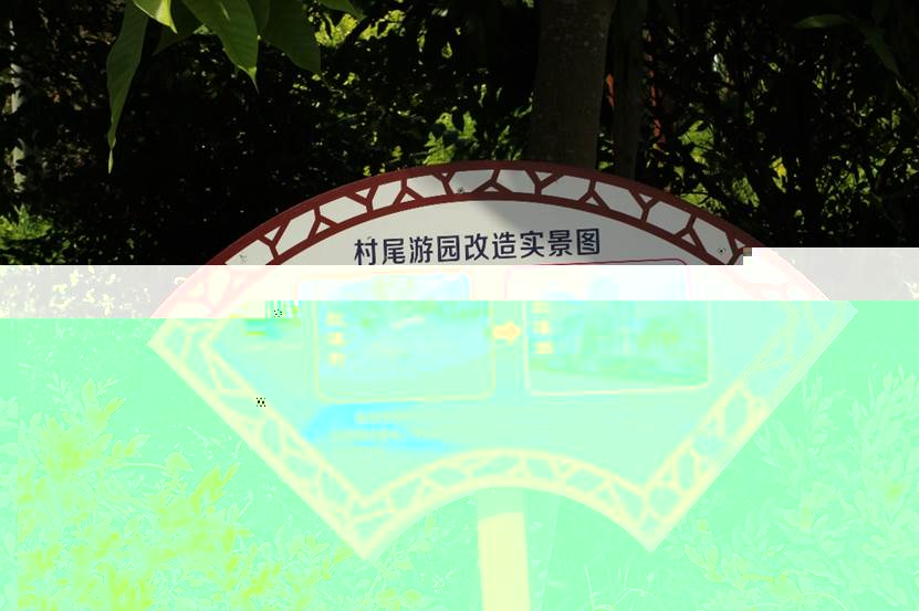 圖片